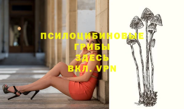 mdpv Верея