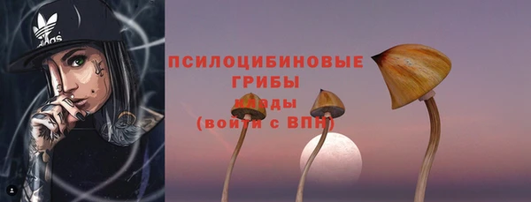 прущие крисы Верхний Тагил